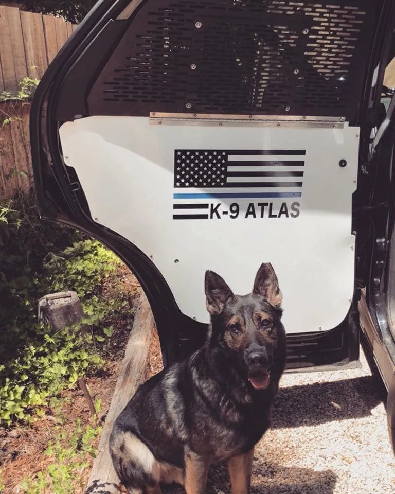 K9 Atlas