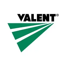 Valent